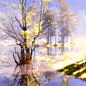 am Fernsteinsee DV Herbst 13 L
Morgens im Winter - grafisch bearbeitet