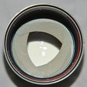 DSC 8031