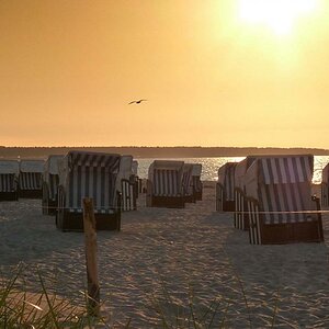 Abendlicht an der Ostsee