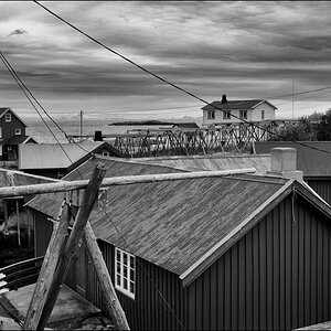 L1001564