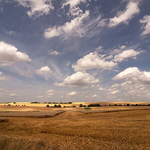 L´Asine (Picardie,Frankreich)
050813 D 056