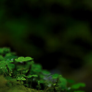 2013 05 12 5386 D 3S A