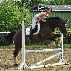 Rolf springt (MHX4008Hfx)