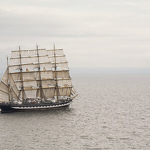 Krusenstern d DSC 1624