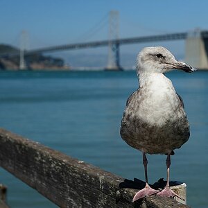 2013 07 31 15 35 04 D70 2275 copy