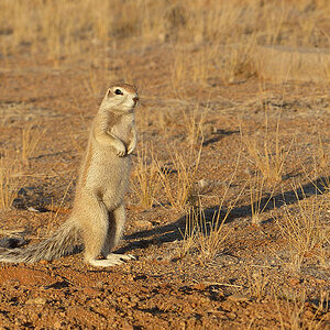 Namibia 3