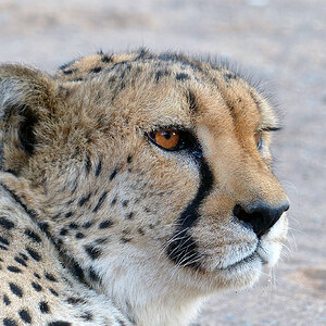 Namibia 6