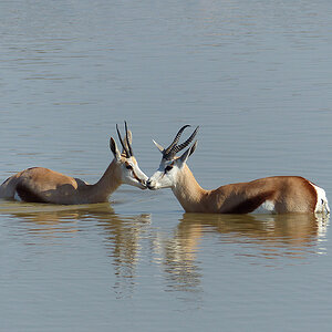 Namibia 5