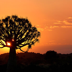 Namibia 7