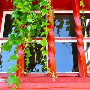 Testbild4