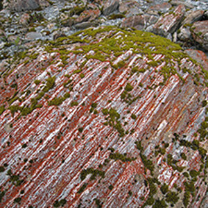 Impression Franz Josef Glacier - Southisland