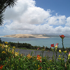 Opononi & Omapere - North Island