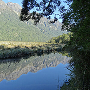 Mirror Lakes - Te Anau - South Island