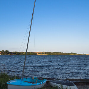 P8230045 1