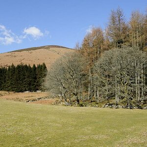 3 Wicklow Mountains - Luggala