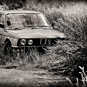 BMW3erb
