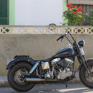 old harley