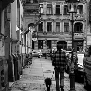 Man and Dog