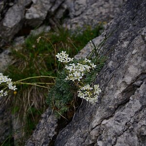 D71 0787 2