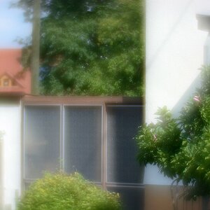 DSC 8113