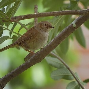 DSC 0956 01