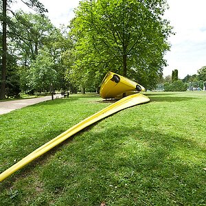 Baumwickel Kurpark Bad Homburg