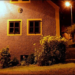 DSC 1629a