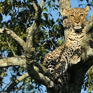 aaacomp Kenia 20111020 25440