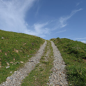 DSC 3057kws