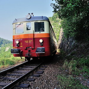 DSC 7725 M262 01