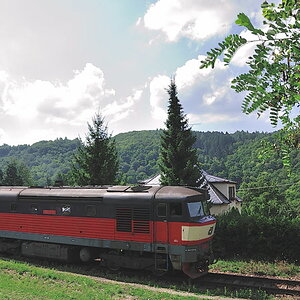 DSC 7831 Bardotka 749 121 0 01