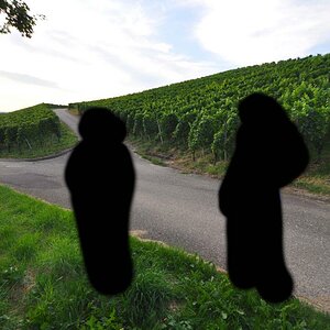 bild3
