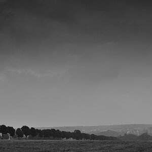 DSC 5943 2