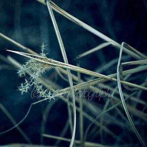 Mystified