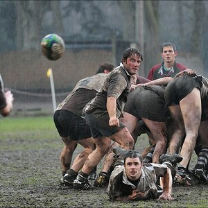 comp St.Pauli Rugby M 0547