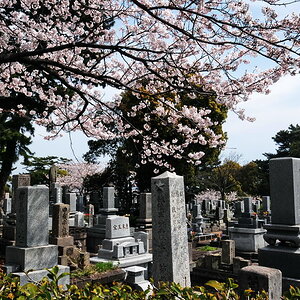 Ein buddhistischer Friedhof in Beppu