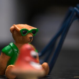 s DSC 0960