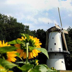 Mühle3