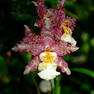 DSCF0490