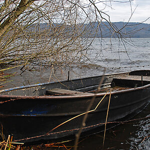 DSC 0368 bearbeitet 1