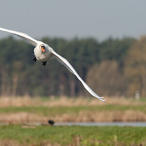 Bi Kastenweiher  DSC 8250 11. April 2009 002