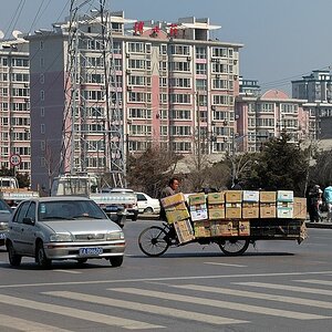 China Street 7
Mühselig ernährt sich das ...