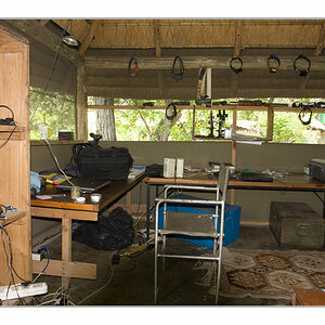 Wilddogcamp2