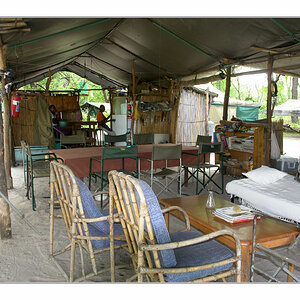 Wilddogcamp3
