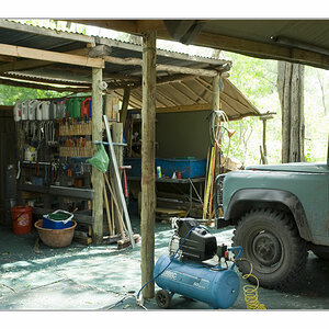 Wildogcampwerkstatt
