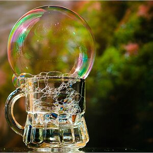 Bubbels