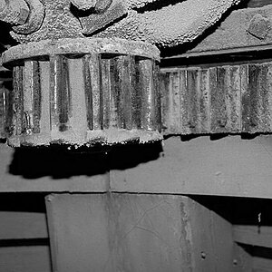DSC 1989