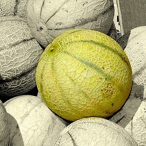 Melone   Colorkey Kopie