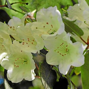 Bild  019