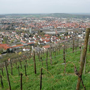 DSC 0695